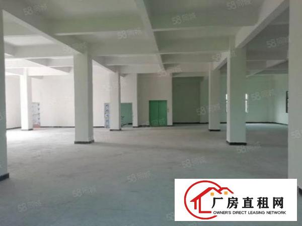  本人自建大朗黄草朗全新电梯厂房3层2000平方11元招租