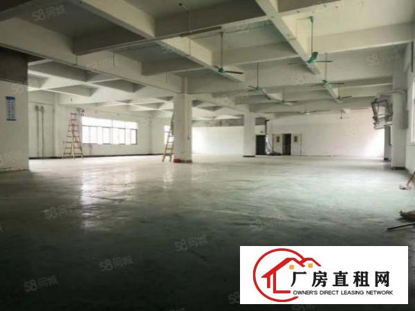 无尘车间，大朗标准工业园新出3楼1420平，带现成精装修