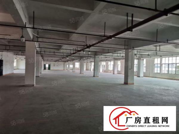  东莞大朗镇黎贝岭7000平厂房出租