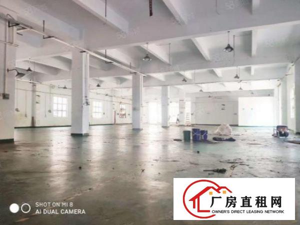  豪华精装办公室，大朗杨涌标准厂房一二楼各1480平，可分租