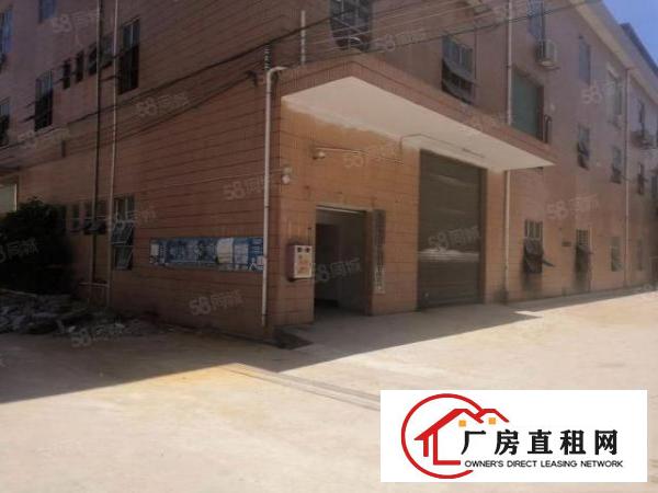 豪华精装办公室，大朗杨涌标准厂房一二楼各1480平，可分租