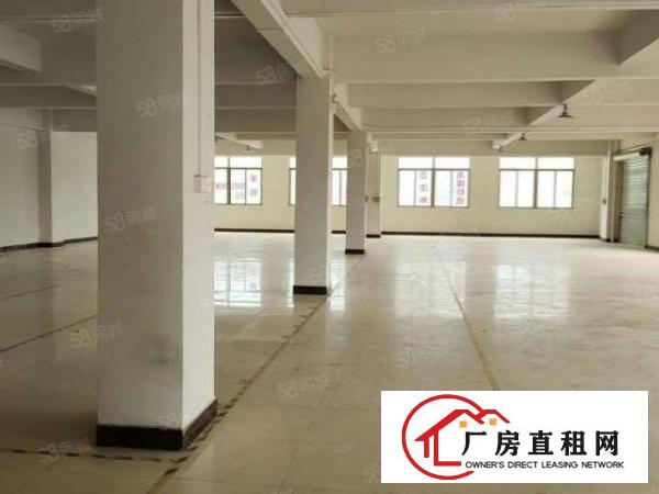 大朗镇原房东楼上厂房单层1000平，带装修有二吨电梯