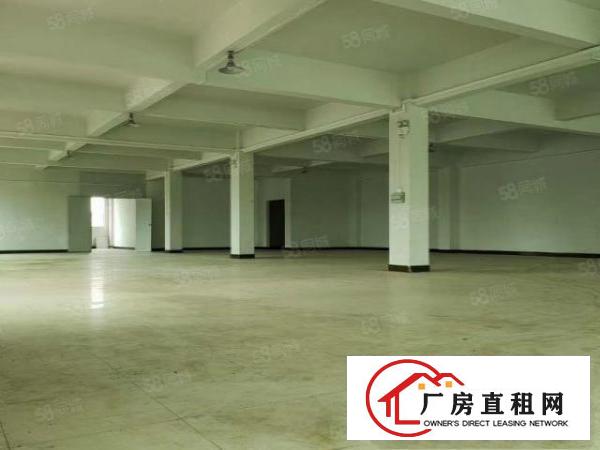  大朗镇原房东楼上厂房单层1000平，带装修有二吨电梯