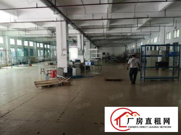  大朗松柏朗标准厂房分租12层3000平米水电齐全欢迎来电