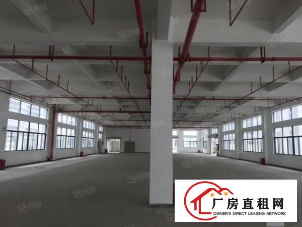  降价处理大朗佛新全新装修厂房只剩400平方啦