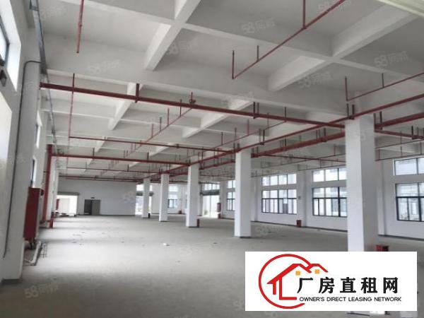  降价处理大朗佛新全新装修厂房只剩400平方啦