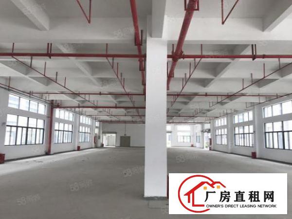  降价处理大朗佛新全新装修厂房只剩400平方啦