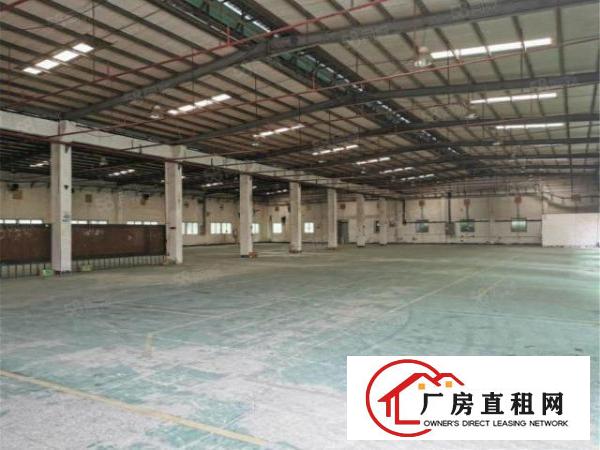  大朗原房东单一层钢构1800方，无公摊，滴水8米，可进大车