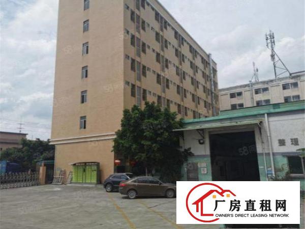  大朗原房东单一层钢构1800方，无公摊，滴水8米，可进大车