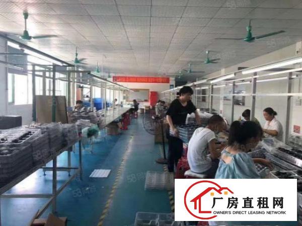  绝世靓盘860平8000块大朗洋乌原房东精装修实际面积