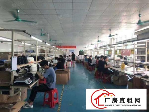  绝世靓盘860平8000块大朗洋乌原房东精装修实际面积