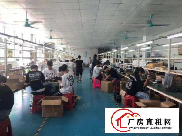  绝世靓盘860平8000块大朗洋乌原房东精装修实际面积