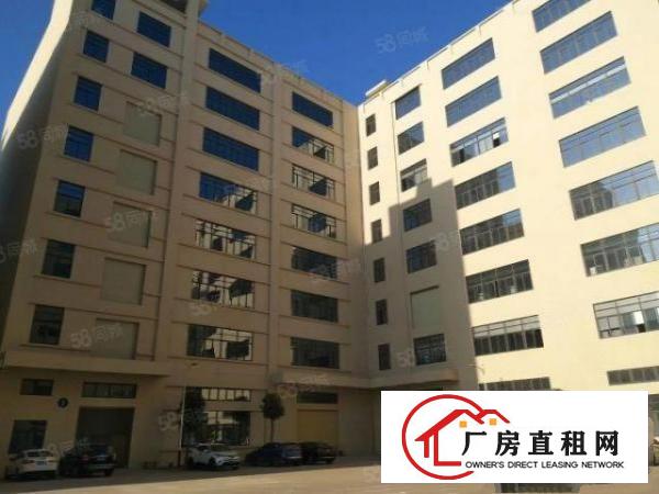  大朗原房东全新厂房1800平方出租可办环评可分租无公摊
