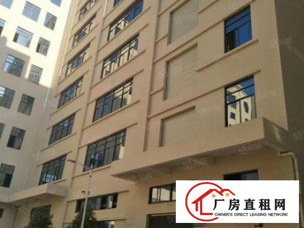  大朗原房东全新厂房1800平方出租可办环评可分租无公摊