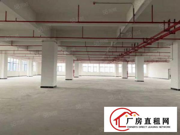  大朗原房东全新厂房1800平方出租可办环评可分租无公摊