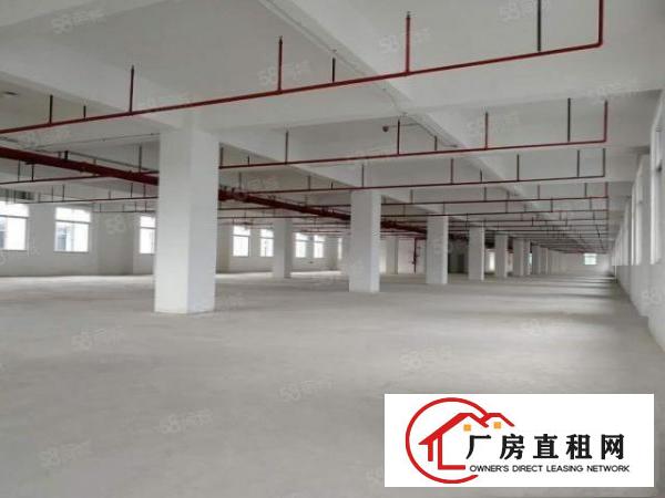  大朗原房东全新厂房1800平方出租可办环评可分租无公摊