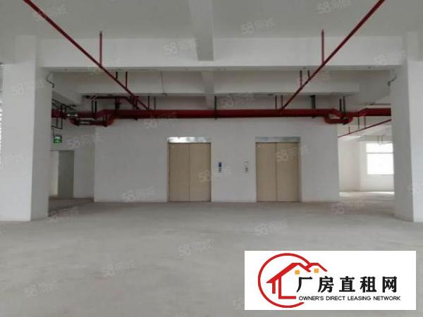  大朗原房东全新厂房1800平方出租可办环评可分租无公摊