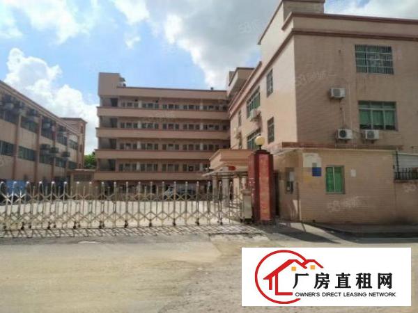  大朗黎贝岭原房东一楼厂房出租带精装修办公室水电齐全空地大