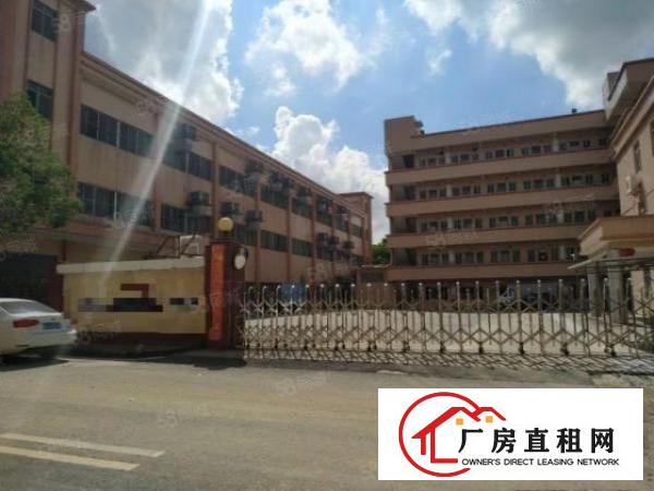  大朗黎贝岭原房东一楼厂房出租带精装修办公室水电齐全空地大