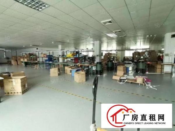  大朗黎贝岭原房东一楼厂房出租带精装修办公室水电齐全空地大