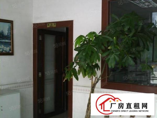  大朗洋乌新出楼上600平米带装修厂房出租