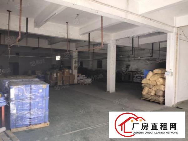  大朗高英，现成分好的标准一楼700平，进厂可生产