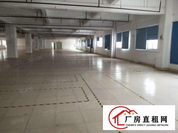  大朗洋坑塘新出楼上1200平米工业区厂房出租