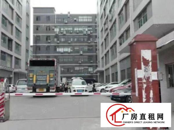  大朗洋坑塘新出楼上1200平米工业区厂房出租