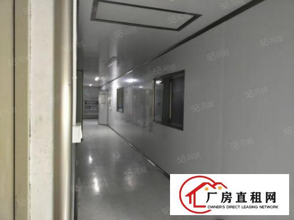  大朗新出无尘车间1800平可分租