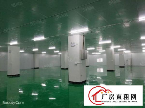  大朗新出无尘车间1800平可分租