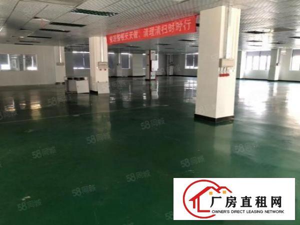  大朗新出无尘车间1800平可分租