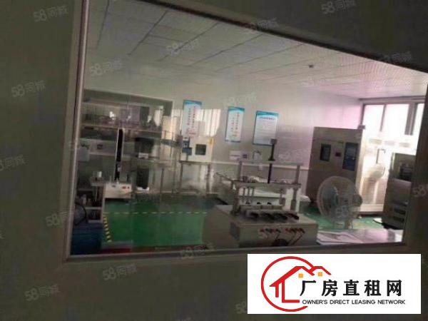  大朗黄草朗一二楼原房东厂房出租，每层900平，一楼5.5米高