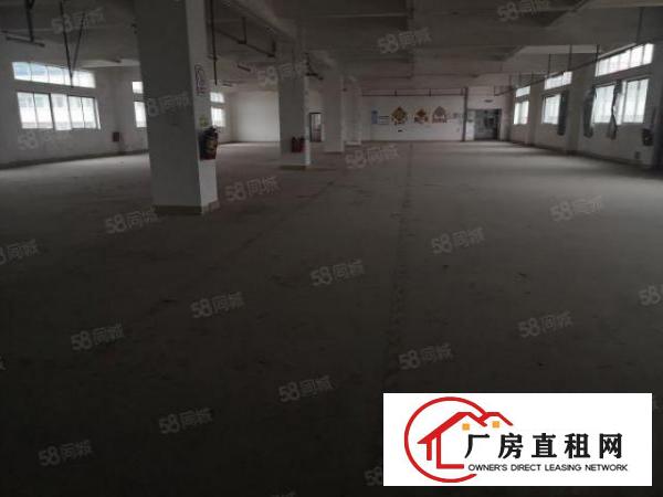  大朗镇大井头第二工业区新出6000平米原房东标准厂房欢迎来电