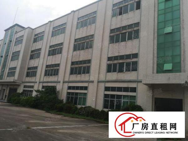  大朗镇大井头第二工业区新出6000平米原房东标准厂房欢迎来电