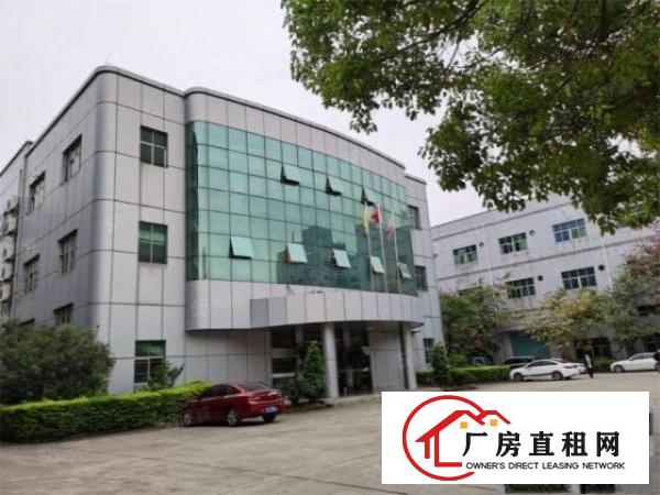  大朗新马莲村原房东新空出一楼1000方，带装修，水电齐全