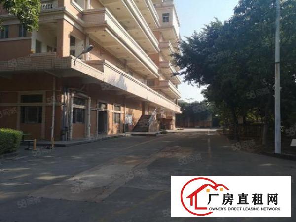  大朗新马莲1100平11块全包实际面积原房东无尘车间精装修