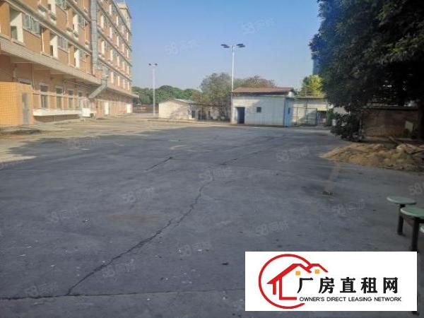  大朗新马莲1100平11块全包实际面积原房东无尘车间精装修