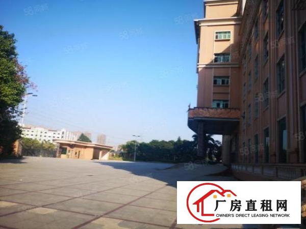  大朗新马莲1100平11块全包实际面积原房东无尘车间精装修