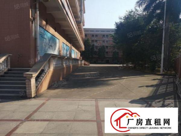  大朗新马莲1100平11块全包实际面积原房东无尘车间精装修
