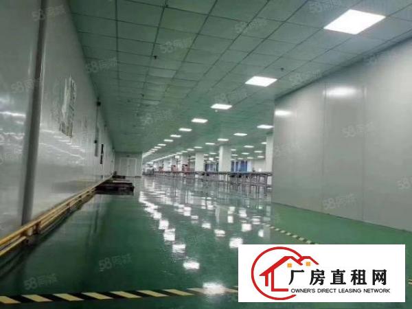  大朗新马莲1100平11块全包实际面积原房东无尘车间精装修