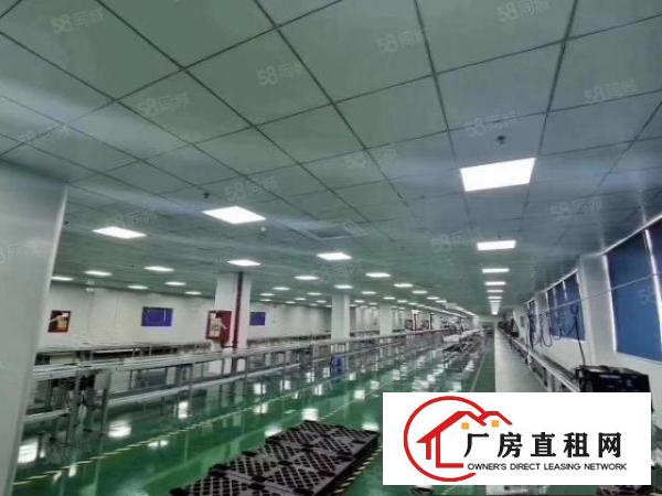  大朗新马莲1100平11块全包实际面积原房东无尘车间精装修