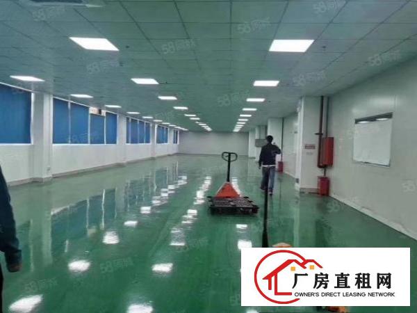  大朗新马莲1100平11块全包实际面积原房东无尘车间精装修