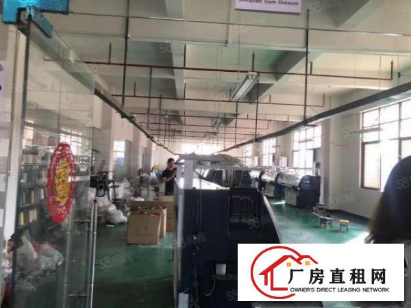  大朗松柏朗原房东超便宜厂房实际面积精装修工业用地