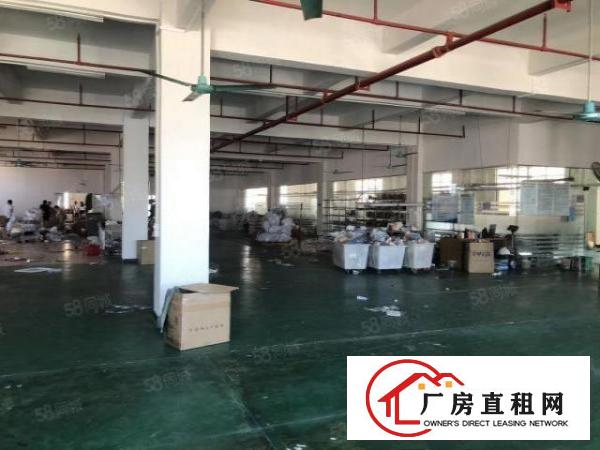  大朗松柏朗原房东超便宜厂房实际面积精装修工业用地