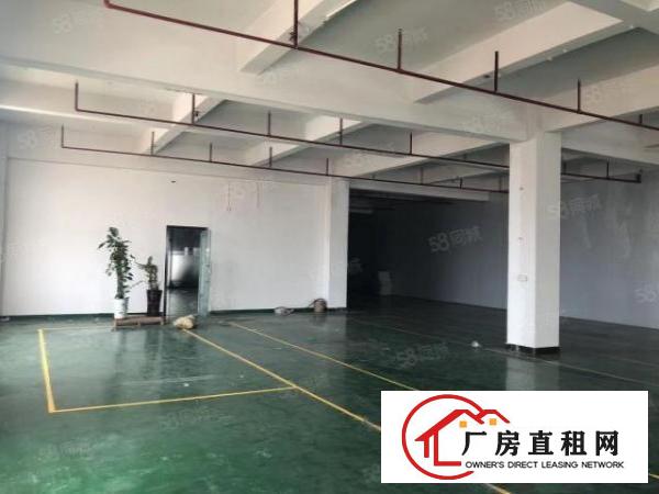  大朗松柏朗原房东超便宜厂房实际面积精装修工业用地