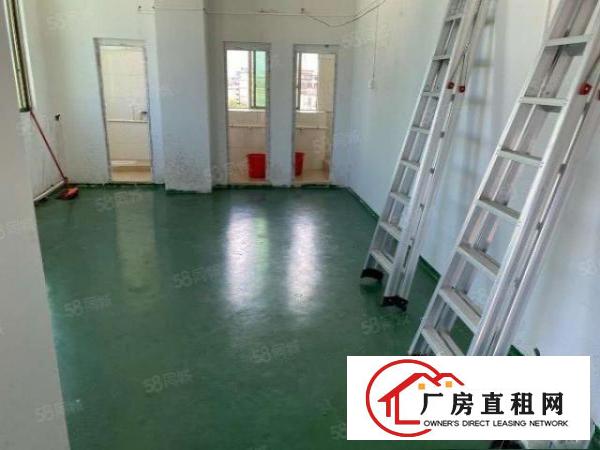  大朗松柏朗原房东超便宜厂房实际面积精装修工业用地