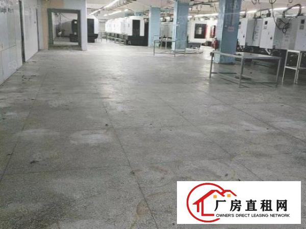  大朗镇工业园内新出一楼1000平，水电齐全可办环评