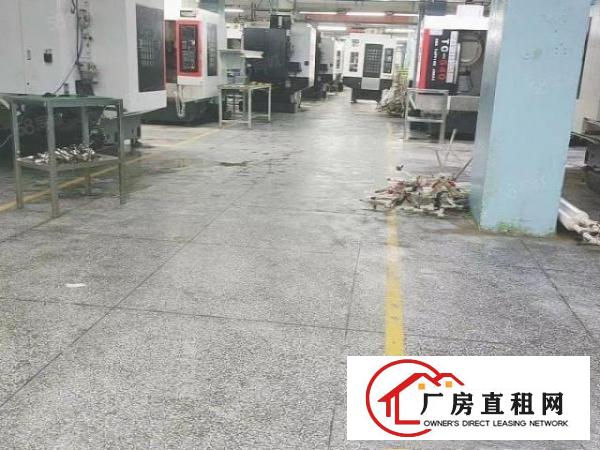  大朗镇工业园内新出一楼1000平，水电齐全可办环评