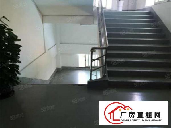  大朗原房东楼上1500方，无公摊，带装修适合电子，医疗行业