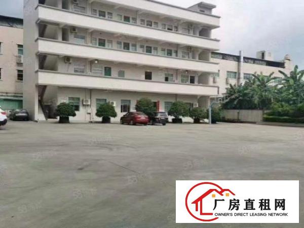  大朗独门独院标准厂房出租超大空地交通便利易招工
